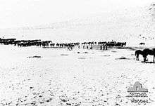 Rows of horses and men stand distant from the camera in a desert.