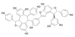 Chemical structure of amurensin K