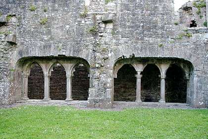 Bective Abbey 03.jpg