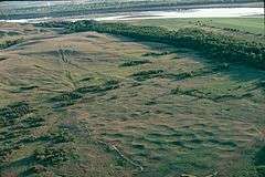 Aerial view of Big Hidatsa Village; circular depressions closely spaced in green plains.