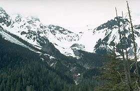 A glaciated mountain rising over a forested valley.