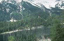 A valley-engulfed forest rising above a rocky cliff.