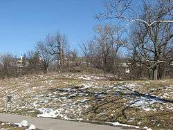 Burchenal Mound