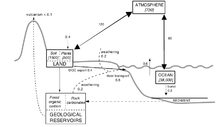 Carbon reservoirs and flows