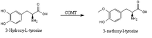 3-O-methylation of Levodopa via COMT activity.