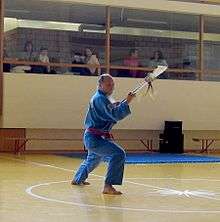 Master Tân Rousset training Dai Dao