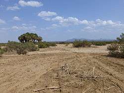 A desert in the Afar region