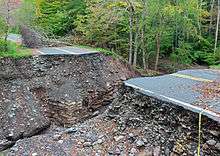 A deep ravine between two broken ends of road in a wooded area. A branch blocks the roadway further from the camera