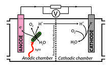 BPV system operation