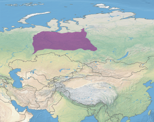 Ecoregion territory (in purple)