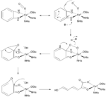 Extradiol Ring Cleavage