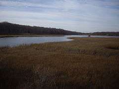 Fort Corchaug Archeological Site