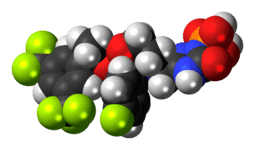 Space-filling model of the fosaprepitant molecule