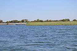 Franks Tract in Sacramento–San Joaquin River Delta 4.JPG