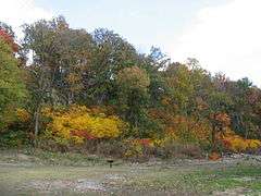 Grand Tower Mining, Manufacturing and Transportation Company Site