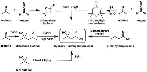 Diagram of HMB synthetic routes