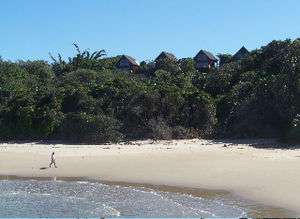 A beach in the Hluleka Nature Reserve