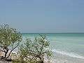 Honeymoon Island State Park (Image 4).jpg