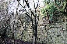 Stone wall with protuding iron bars
