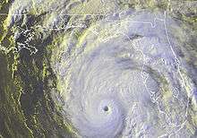 Hurricane in the eastern Gulf of Mexico, to the west of the Florida Peninsula. The storm contains a defined eye feature at the center.