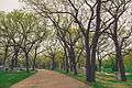 Lakewood Cemetery, Minneapolis (17380132016).jpg