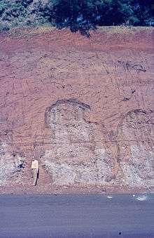 This photograph shows the irregular weathering of the grey serpentinite to the greyish-brown nickel-containing laterite with a high iron percentage (nickel limonite). This was taken near Mayaguex, Puerto Rico.