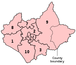 A map of a large county and an adjacent small county, to the east. The two counties are divided into a total of ten constituencies