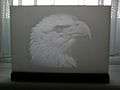 Lithophane - bald eagle.jpg
