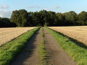 Membury Camp interior, from the public footpath that runs through the centre