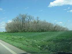 Murphy Mound Archeological Site