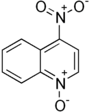 Structural formula of  4-nitroquinoline 1-oxide