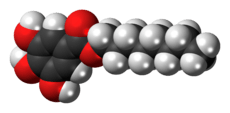 Space-filling model of the octyl gallate molecule