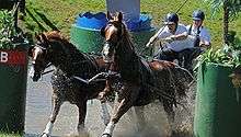 Two-horse carriage with two drivers splashing through water