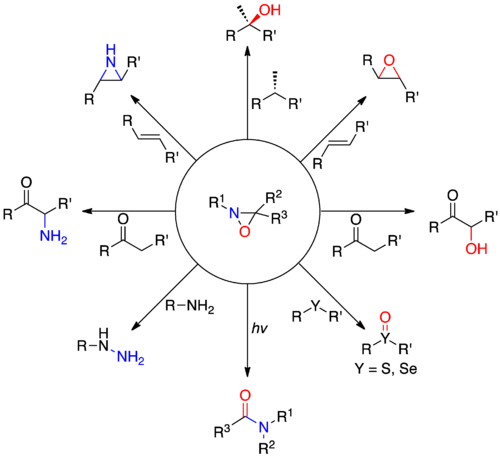 Oxaziridine Reactions