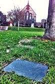 Photo of a memorial plaque installed in grass field next to trunk of tree.