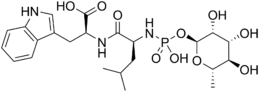 Skeletal formula of phosphoramidon