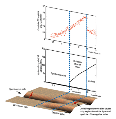 Resting State: exploration of the dynamical repertoire