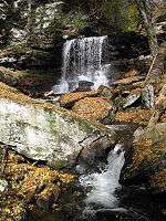 The stream falls over a ledge and onto rocks, then appears to zig-zag from left to right and back to the left going around several large boulders. Newly fallen leaves cover the rocks near the stream and conifer saplings are visible along its banks.