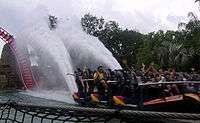 One of SheiKra's floorless trains going through the "splashdown" element