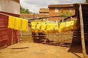 Yellow silk fibres hanging on a line in the sun