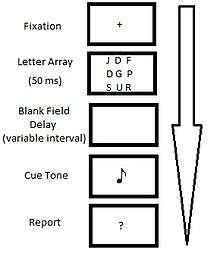 File:Sperling's Partial Report Paradigm.jpg