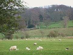 Site of Milecastle 27