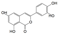 Chemical structure of thunberginol B
