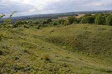 Totternhoe Knolls