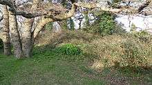 Tumulus on the south side of Wick Lane