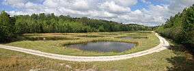 Photograph of ponds at the University of Mississippi Field Station