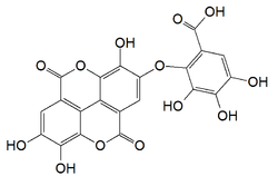 Chemical structure of valoneic acid dilactone