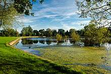 A fishing pond.