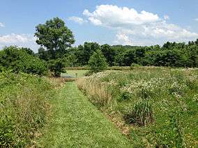 A photo of a trail going through a meadow towards a pond