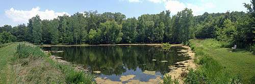 A panorama of a pond surrounded by forest